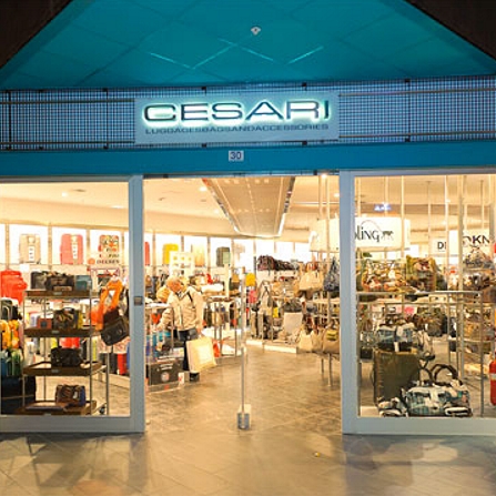 Cesari Luggages Bags & Accesories